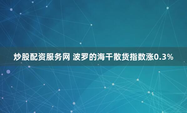炒股配资服务网 波罗的海干散货指数涨0.3%