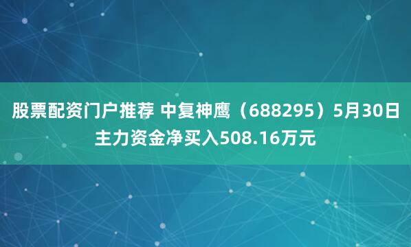 股票配资门户推荐 中复神鹰（688295）5月30日主力资金净买入508.16万元